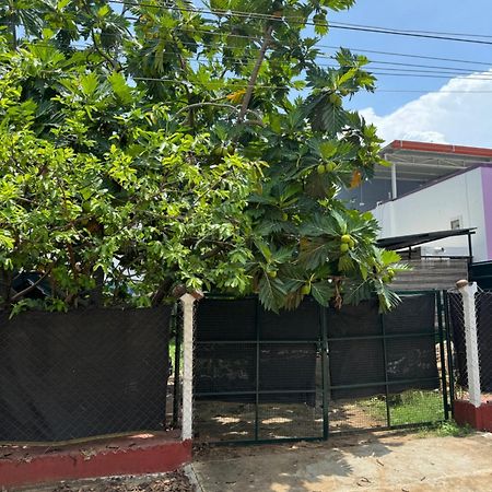 哥印拜陀 The Lazy Palm Shack酒店 外观 照片